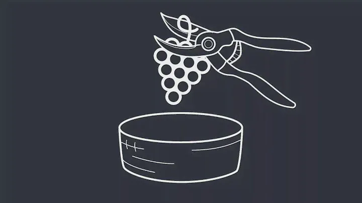 Le 10 cose che non sai del Conegliano Valdobbiadene Prosecco Superiore | 1. La Viticoltura Eroica