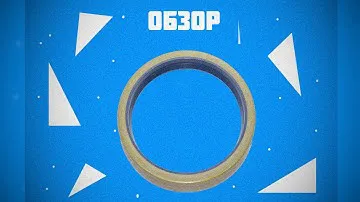Обзор на сальник VICTOR REINZ 819000900.