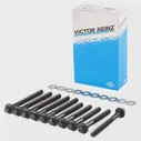 Комплект болтов ГБЦ VICTOR REINZ 14-32089-01 95910 RYP PB1E 4026634166048