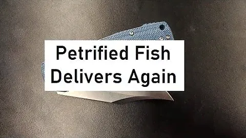 Petrified Fish Victor First Impressions