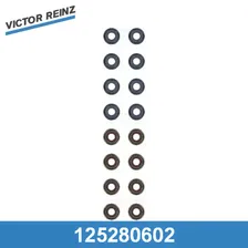 12-52806-02 Victor Reinz Колпачки маслосъемные к-кт
