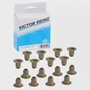 Маслосъемные колпачки VICTOR REINZ MDZN LV 4026635039211 95561 12-37621-01