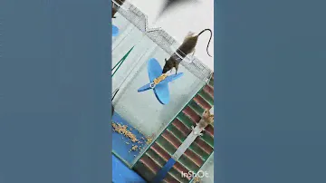 #plasticbottle #rat #rattrap #pestcontrol #rodenttrap #pets #shoryfeed #funny