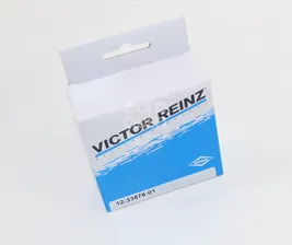 12-33876-01 Victor Reinz Колпачки маслосъемные к-кт