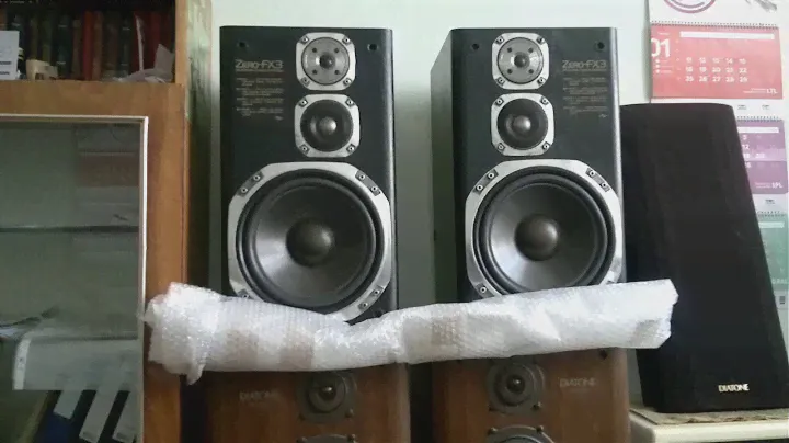 Тест VICTOR ZERO FX3 и DIATONE DS-700Z