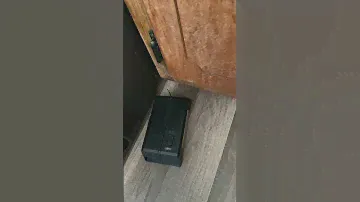 Victor mouse trap #mouse trap