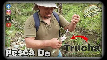 Pesca De trucha Arcoíris -- Compañero Víctor🎣