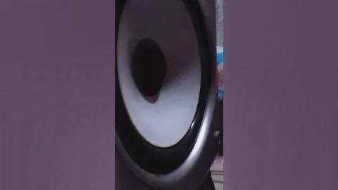 ビクター爆音スピーカー