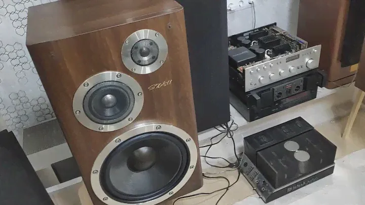 Technics su 99A feat SX 511