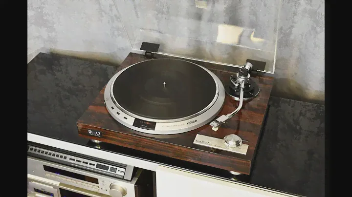 Victor QL-A7 (18)
