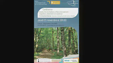 Forêt d'ici et d'ailleurs, d'hier et de demain. Par Antoine Kremer