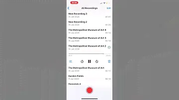 The Met Museum sound recordings