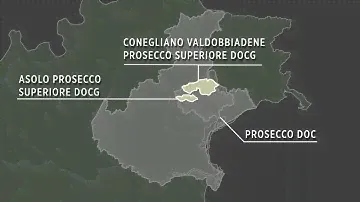 An introduction to Conegliano Valdobbiadene Prosecco Superiore DOCG