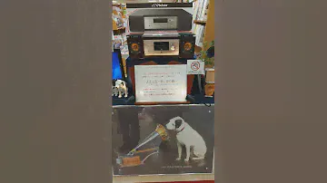 ビクター犬🐾ニッパー。