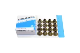 12-37621-01 Victor Reinz Колпачки маслосъемные к-кт