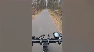Воблинг на электросамокате Dualtron Thunder 2