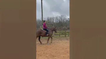 Boogie and I trying a cutback