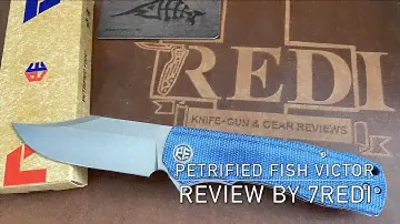 Petrified Fish Victor Review - Amazing Budget Bowie!