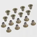 Маслосъемные колпачки VICTOR REINZ MDZN LV 4026635039211 95561 12-37621-01
