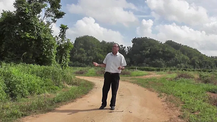 COMPAÑERO DEL CAMINO CANTA VICTOR ROSARIO CIALES PR